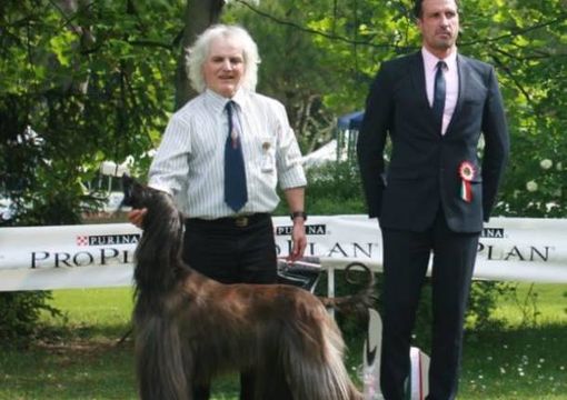 Recuperato dai sommozzatori il corpo di Enrico Faraglia Recuperato dai sommozzatori il corpo di Enrico Faraglia