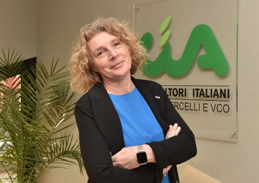 Aperto un nuovo bando per il Servizio Civile Universale in Inac Aperto un nuovo bando per il Servizio Civile Universale in Inac