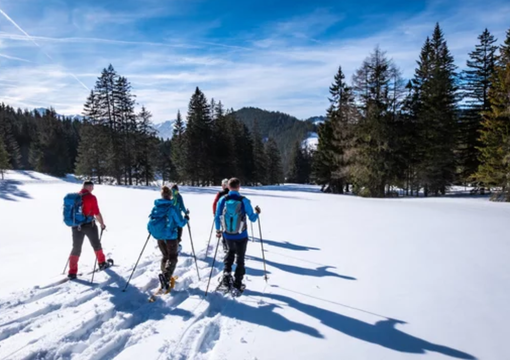 Vacanze sulla neve, 8 milioni di italiani in viaggio: il Piemonte tra le mete più scelte Vacanze sulla neve, 8 milioni di italiani in viaggio: il Piemonte tra le mete più scelte