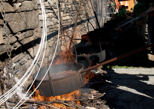 Domenica 6 a Massino Visconti  grande castagnata Domenica 6 a Massino Visconti  grande castagnata