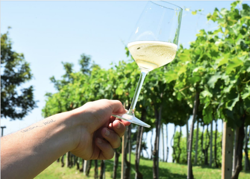 Per l'apertura di Collisioni a Barolo con Eddie Vedder arriva l'Asti Day Per l'apertura di Collisioni a Barolo con Eddie Vedder arriva l'Asti Day