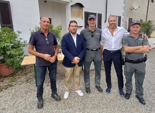 Suno-Mezzomerico, la Provincia adotta il decreto per il contenimento dei daini Suno-Mezzomerico, la Provincia adotta il decreto per il contenimento dei daini