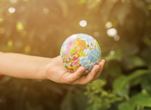 Clima, per Coldiretti Piemonte il 2023 è stato l'anno più bollente di sempre Clima, per Coldiretti Piemonte il 2023 è stato l'anno più bollente di sempre