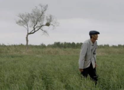 Al via la nuova edizione del festival "Corto e Fieno"