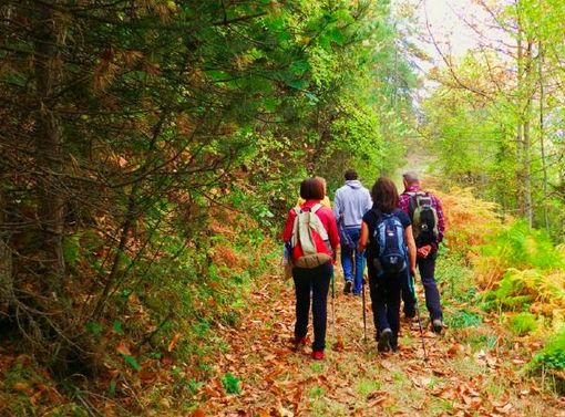 Il Piemonte vince il Premio Go Slow per la sua rete di itinerari escursionistici