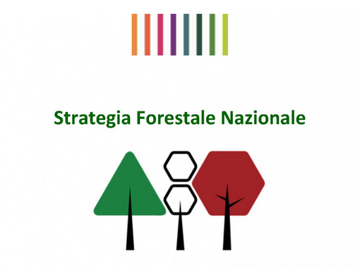 “Strategia Green Communities e quella forestale sono complementari” “Strategia Green Communities e quella forestale sono complementari”