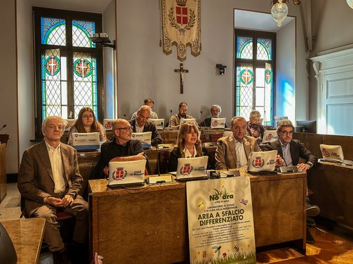 "Novara Città in Erba": meno sfalci per più biodiversità