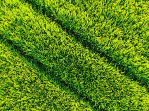 Posa erba sintetica: perché la fase di installazione incide su durata e resa estetica Posa erba sintetica: perché la fase di installazione incide su durata e resa estetica
