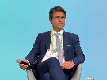 Andreoli (Renael e Aess): &quot;Per transizione green puntare su partenariato&quot;