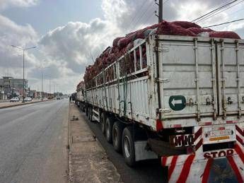 Benin, militari annunciano golpe. Ma fonti vicine al presidente: "Esercito regolare sta riprendendo il controllo"