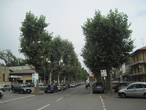 Ordinanze per eventi e sicurezza nel centro storico di Borgomanero Ordinanze per eventi e sicurezza nel centro storico di Borgomanero
