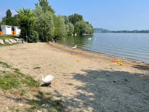 Domani apre la spiaggia del Sorriso di Arona
