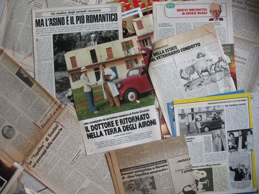 La Biblioteca Negroni riprende i Giovedì letterari on line: a giugno le puntate della serie tv di Una Topolino amaranto