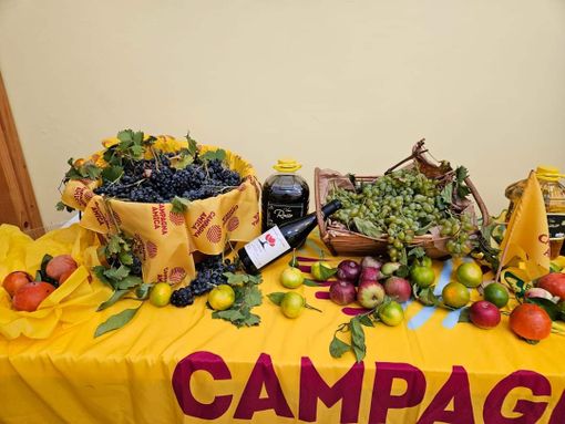 A Trecate torna l’Agrimercato di “Campagna amica” in Piazza Cavour