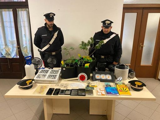 In casa una serra di marijuana: in arresto un 22enne In casa una serra di marijuana: in arresto un 22enne