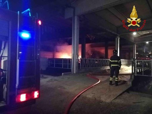 Incendio nella notte in un’azienda agricola di Oleggio Incendio nella notte in un’azienda agricola di Oleggio