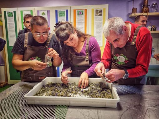 Inaugurata a Galliate la 'Piazza delle Erbe'