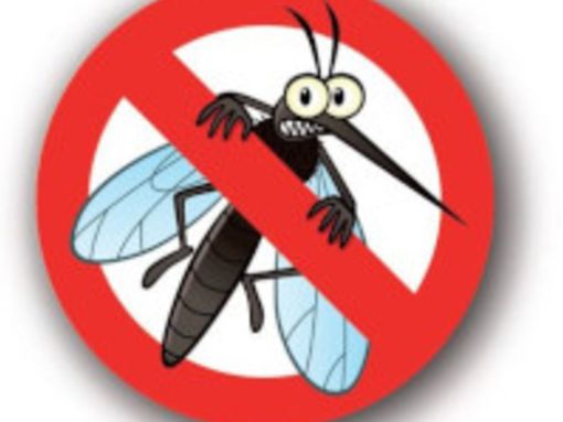 Anche a Trecate entra nel vivo la lotta alle zanzare Anche a Trecate entra nel vivo la lotta alle zanzare