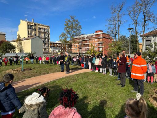 Novara ha celebrato la Festa dell’Albero