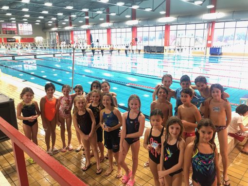 Tre vittorie al “Gran Prix” per gli esordienti della Libertas nuoto Novara