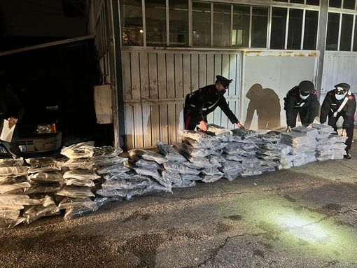 Varese, maxi sequestro di droga: nel rimorchio sotto il trattore spuntano 220 chili di hashish e marijuana. VIDEO Varese, maxi sequestro di droga: nel rimorchio sotto il trattore spuntano 220 chili di hashish e marijuana. VIDEO