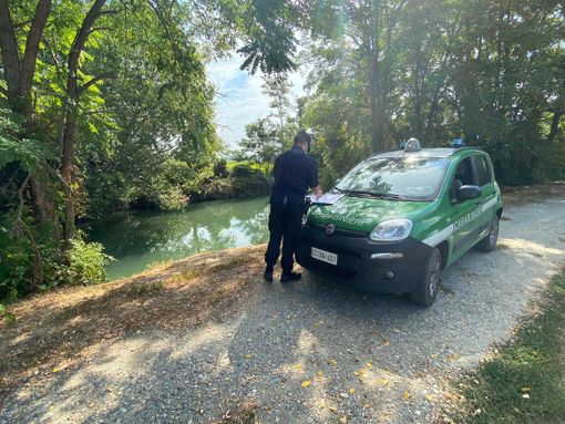Novara, scarichi chimici nel Terdoppio causano moria pesci. Azienda denunciata