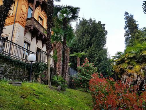 Ultime aperture per il percorso multimediale del Museo Meina  “Vox Horti: la natura in 4D” prima del nuovo allestimento