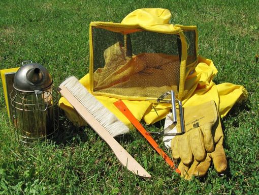 Contributi dalla Regione per l'acquisto di materiale nel settore apistico