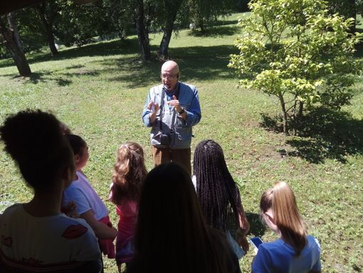 Estate da favola: la natura &quot;digitale&quot; al Museo Meina sul Lago Maggiore