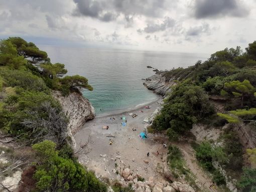 Anche un 17enne novarese coinvolto nel drammatico 'lancio' di un cassonetto a Bergeggi Anche un 17enne novarese coinvolto nel drammatico 'lancio' di un cassonetto a Bergeggi