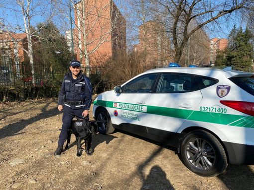 Polizia Locale: al via la formazione della seconda unità cinofila di Trecate
