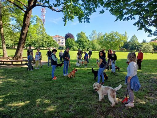 Successo per la &quot;Passeggiata a 6 Zampe&quot; a Borgomanero