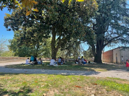 Cameri, successo per il pic nic delle Pro Loco Cameri, successo per il pic nic delle Pro Loco