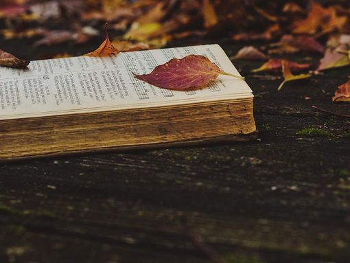 Orta San Giulio, Poetry on the Lake: il programma di oggi