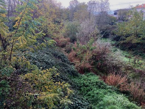 Momo ha ripulito il Terdoppio Momo ha ripulito il Terdoppio