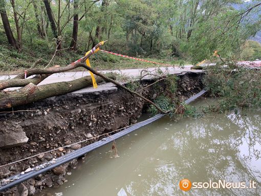 Assicurazioni: Confcommercio, 'bene proroga polizze catastrofali, ora tavolo di confronto'