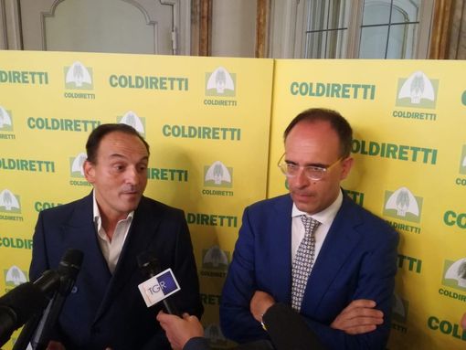 Siccità, Coldiretti Piemonte: "A rischio chiusura un'azienda su tre. C'è chi specula sull'acqua" Siccità, Coldiretti Piemonte: "A rischio chiusura un'azienda su tre. C'è chi specula sull'acqua"