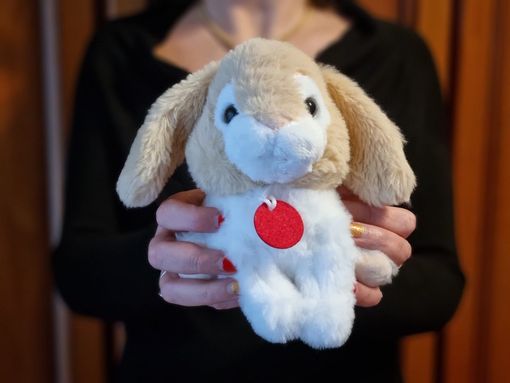 Cirio e Lo Russo, Olimpiadi invernali 2026: "Torino e il Piemonte a disposizione del Paese" Cirio e Lo Russo, Olimpiadi invernali 2026: "Torino e il Piemonte a disposizione del Paese"