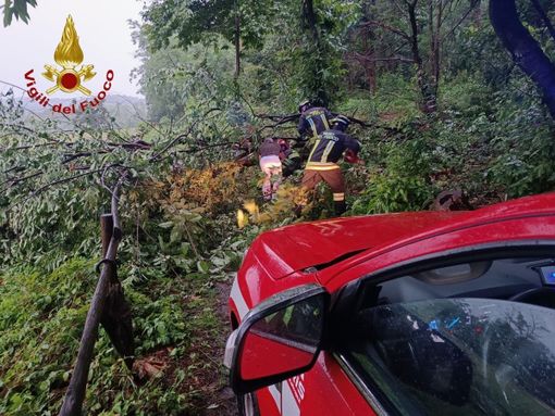 Castelletto, auto esce di strada sulla provinciale 30
