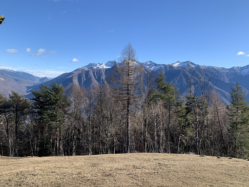 Per i parchi stanziati 24,4 milioni Per i parchi stanziati 24,4 milioni