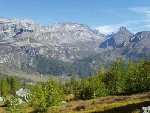Coldiretti Piemonte: &quot;La legge europea sul ripristino della natura è sbagliata&quot;