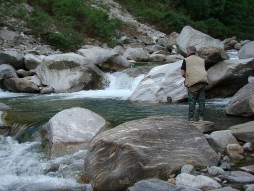 Aperta la gara per i permessi di pesca nel Naviglio Langosco Aperta la gara per i permessi di pesca nel Naviglio Langosco