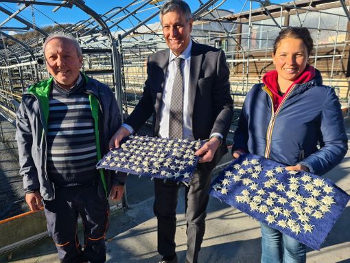 Regione, dal Piemonte stelle alpine per il papa