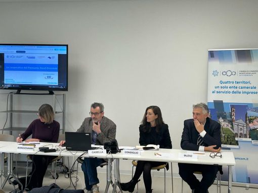 Cooperative dell'alto Piemonte: oltre 23mila lavoratori, ma mancano i professionisti qualificati Cooperative dell'alto Piemonte: oltre 23mila lavoratori, ma mancano i professionisti qualificati