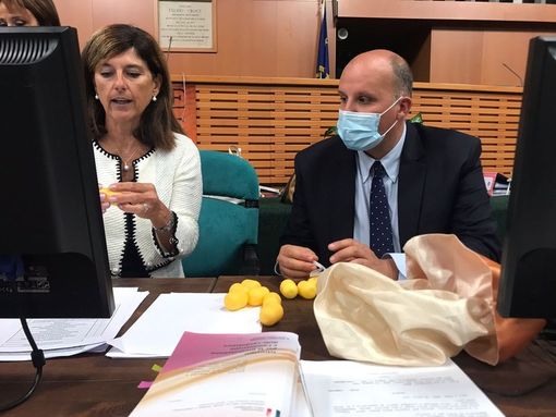 Elezioni, la scheda del Senato in Piemonte: Mastella primo partito, destra prima della sinistra