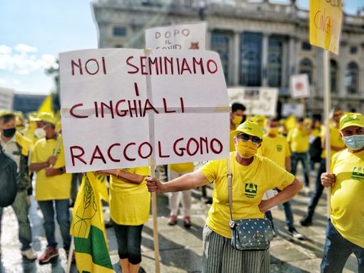 “Per fermare i cinghiali serve piano di contenimento con cacciatori, polizia provinciale e guardie venatorie” “Per fermare i cinghiali serve piano di contenimento con cacciatori, polizia provinciale e guardie venatorie”