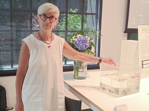 "Ris-Orta": successo per il progetto di ripopolamento della fauna sostenuto dal Fai