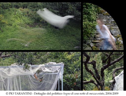 Si inaugura sabato 12 a Verbania ‘Giardini Disobbedienti’, la mostra fotografica di ‘Editoria e Giardini’ 2020 Si inaugura sabato 12 a Verbania ‘Giardini Disobbedienti’, la mostra fotografica di ‘Editoria e Giardini’ 2020