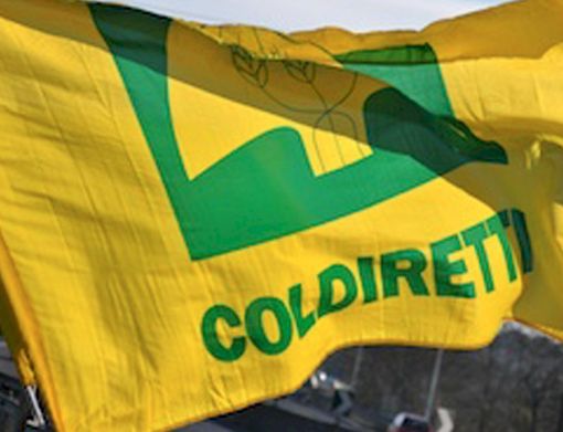 Coldiretti Novara-Vco: oltre 250 presenze della Federazione al Villaggio contadino Coldiretti