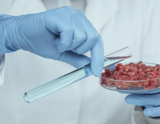 Carne artificiale, Coldiretti Piemonte: "l'Europa sempre più diffidente, flop negli Usa" Carne artificiale, Coldiretti Piemonte: "l'Europa sempre più diffidente, flop negli Usa"